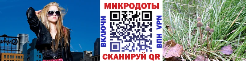 что такое наркотик  KRAKEN tor  Галлюциногенные грибы прущие грибы  Котельниково 